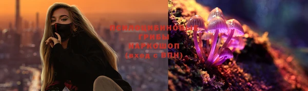 марки lsd Белокуриха